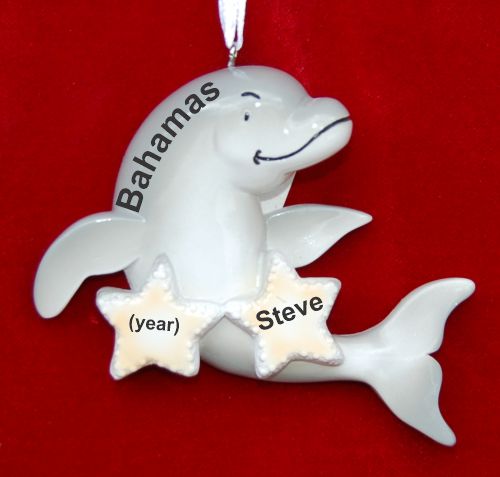 Kids Christmas Ornament Dolphin Fun for 2 Personalized by RussellRhodes.com