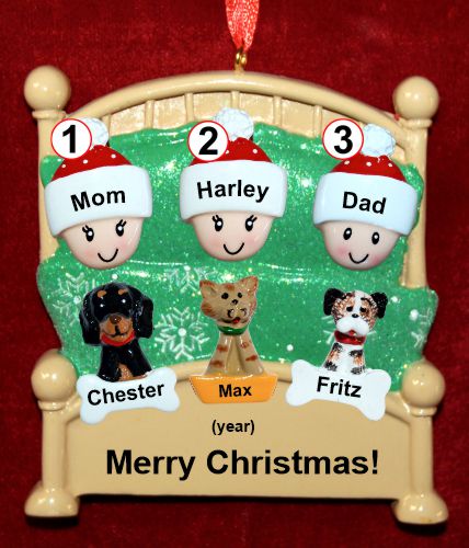 Family Christmas Ornament Cozy & Warm for 3 with 3 Dogs, Cats, Pets Custom Add-ons Personalized by RussellRhodes.com