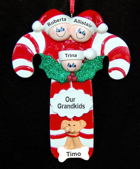 Grandparents Christmas Ornament Candy Canes for 3 Grandkids with Pets Personalized by RussellRhodes.com