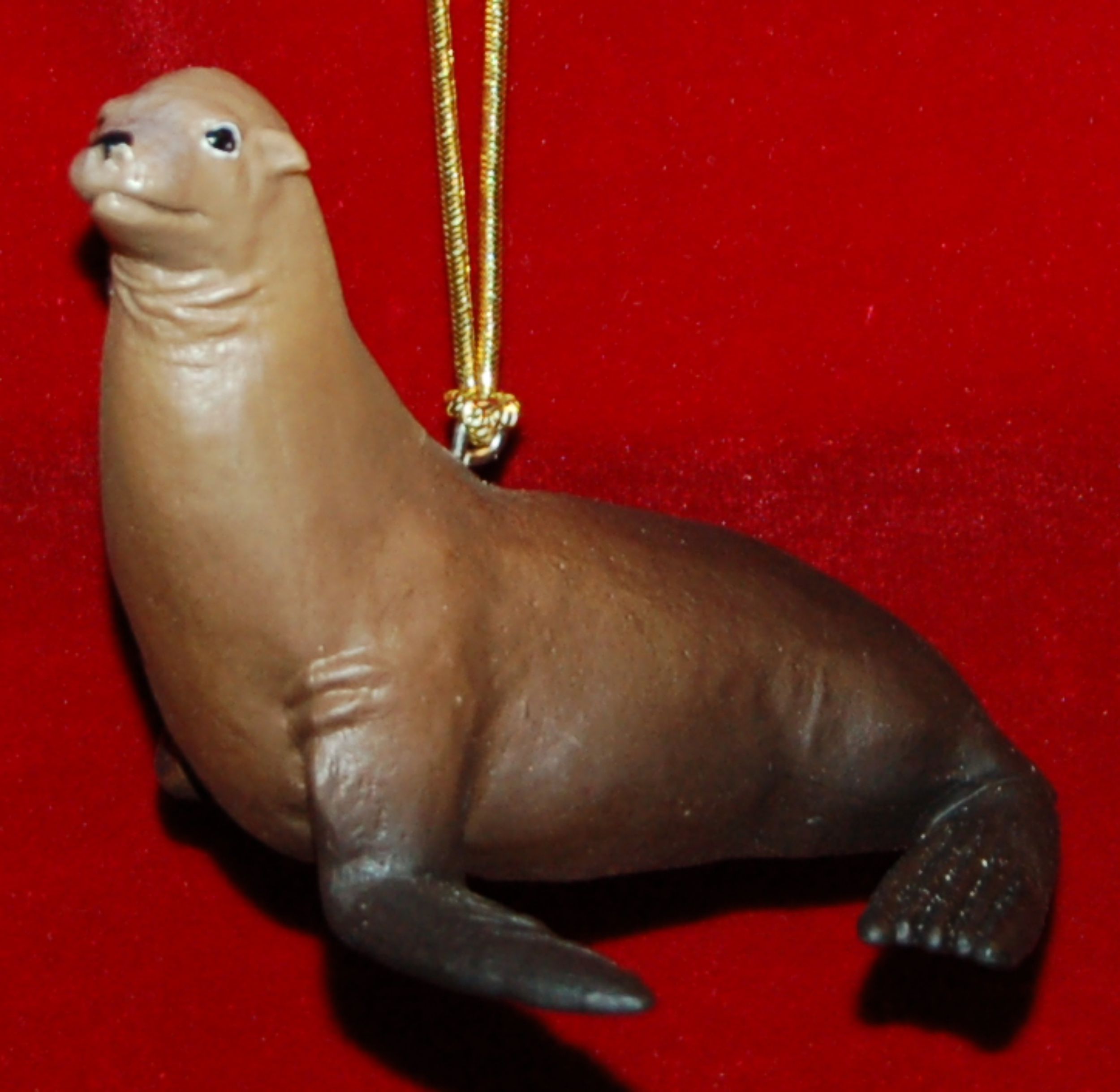 Sea Lion Christmas Ornament Personalized FREE by Russell Rhodes