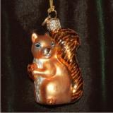 Squirrel Glass Christmas Ornament Personalized by Russell Rhodes