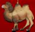 Personalized Bactrian Camel Christmas Ornament by Russell Rhodes
